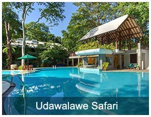 web-designing-sri-lanka-1